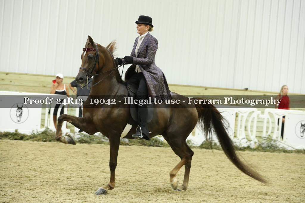 Proof Number 24R13_19042