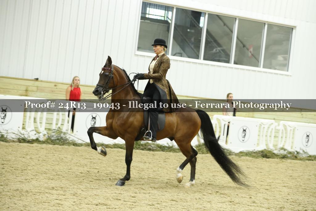 Proof Number 24R13_19043