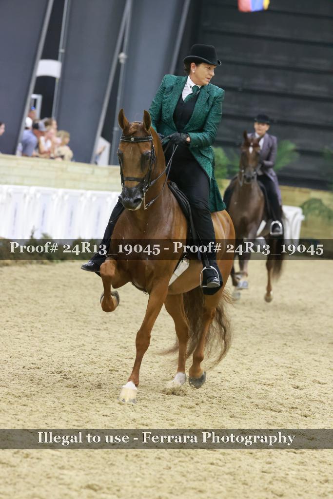 Proof Number 24R13_19045