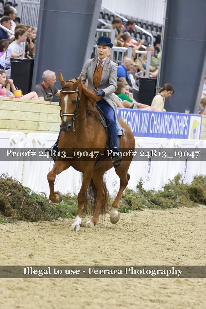 Proof Number 24R13_19047