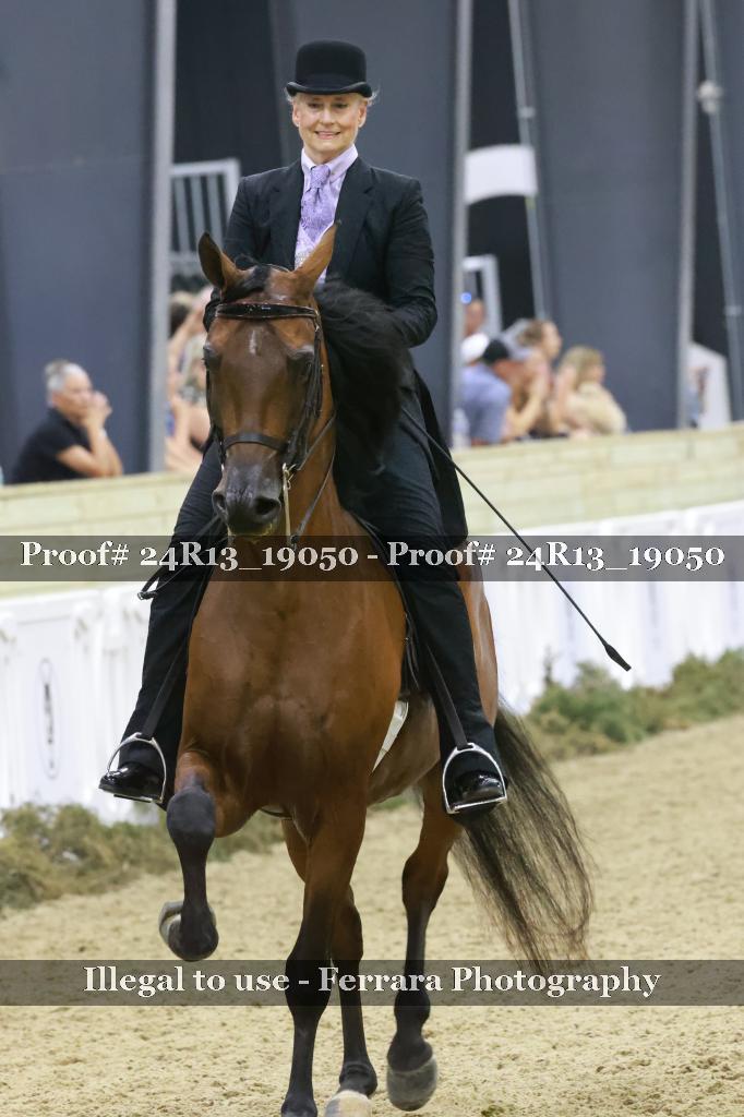 Proof Number 24R13_19050