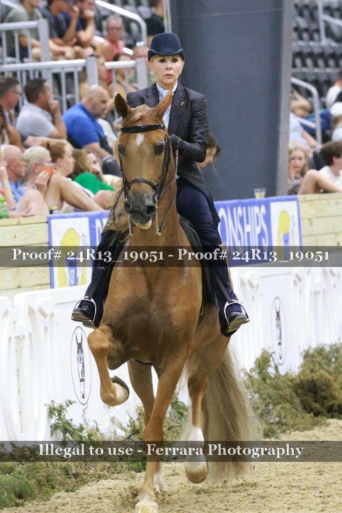 Proof Number 24R13_19051