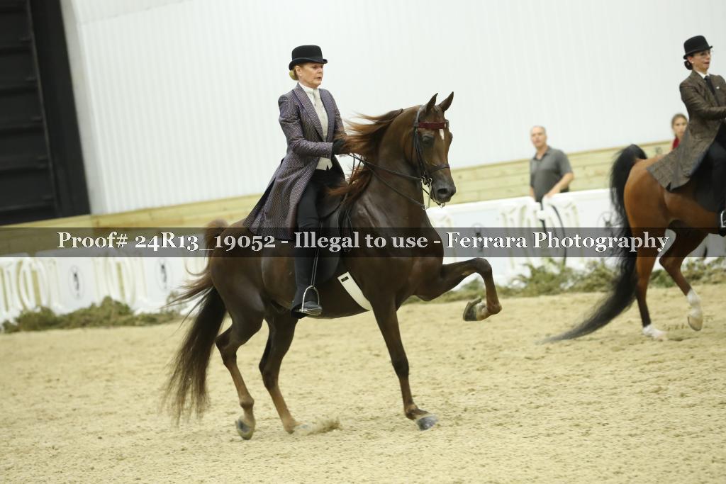 Proof Number 24R13_19052