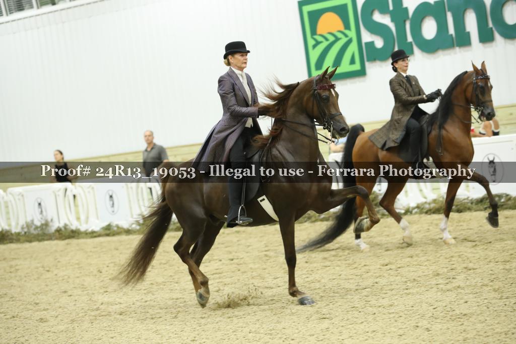 Proof Number 24R13_19053