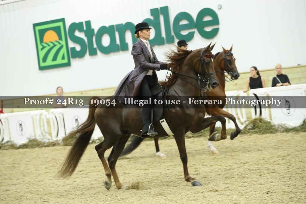 Proof Number 24R13_19054