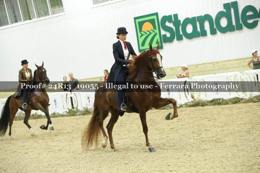 Proof Number 24R13_19055