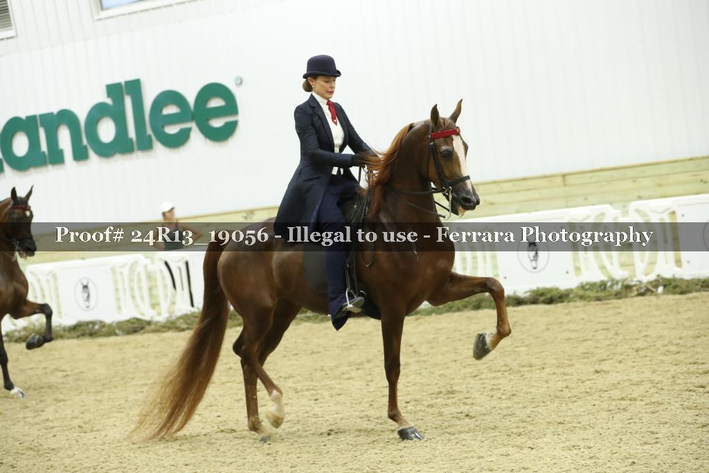 Proof Number 24R13_19056