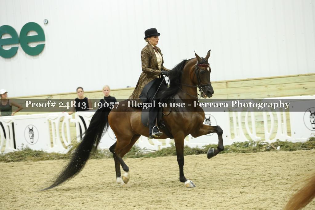 Proof Number 24R13_19057