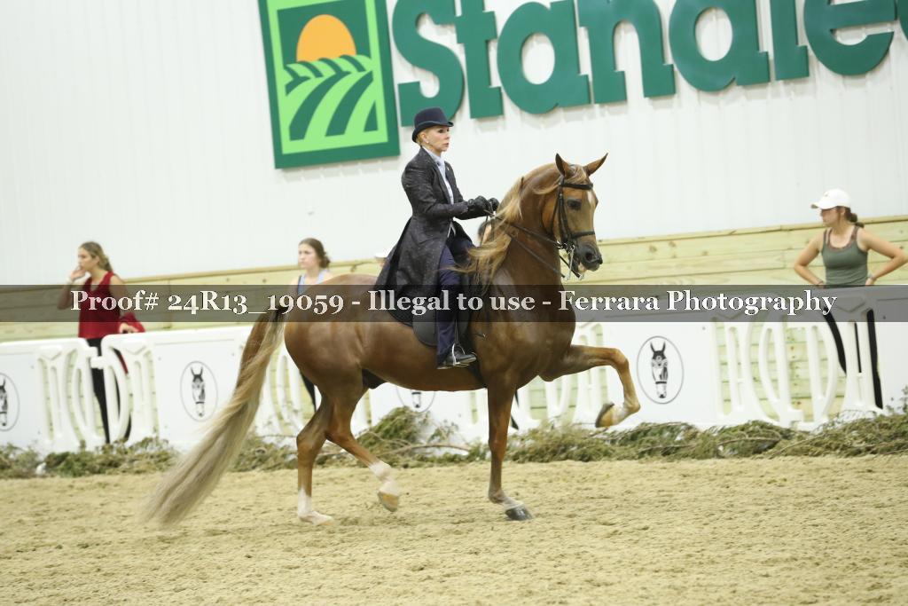 Proof Number 24R13_19059