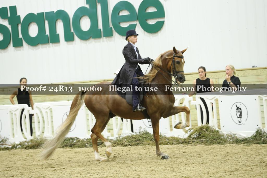 Proof Number 24R13_19060