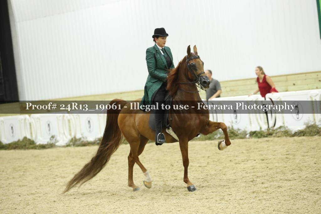 Proof Number 24R13_19061