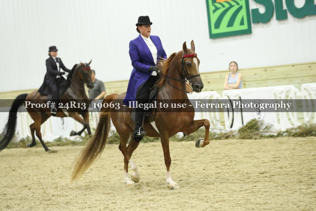 Proof Number 24R13_19063