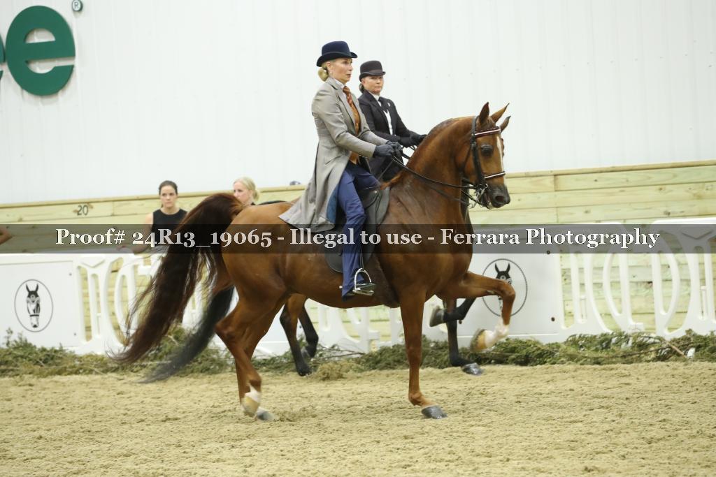 Proof Number 24R13_19065