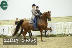 24R13_19065 thumbnail