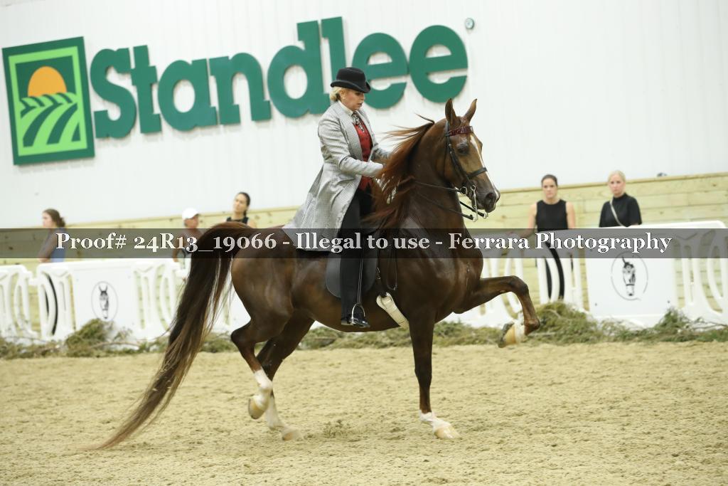 Proof Number 24R13_19066