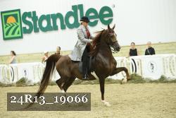 24R13_19066 thumbnail