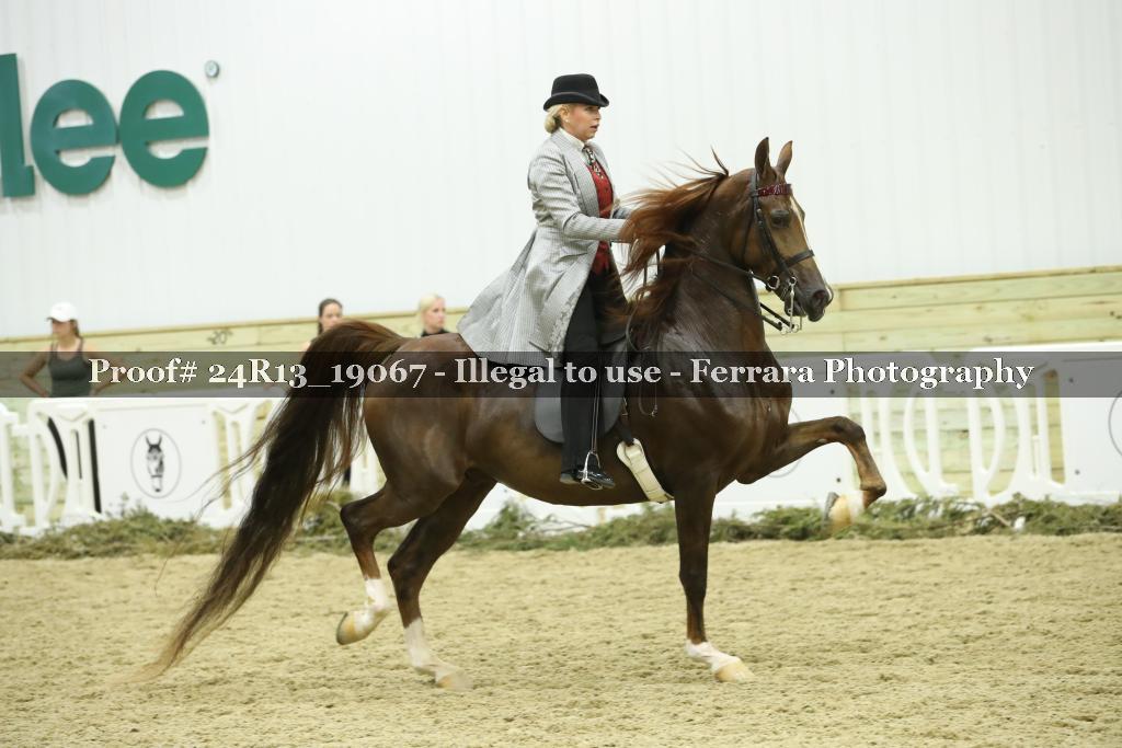 Proof Number 24R13_19067
