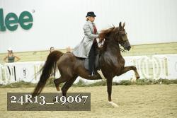 24R13_19067 thumbnail