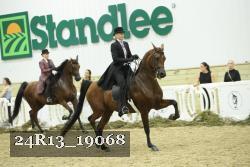 24R13_19068 thumbnail