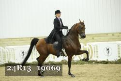 24R13_19069 thumbnail