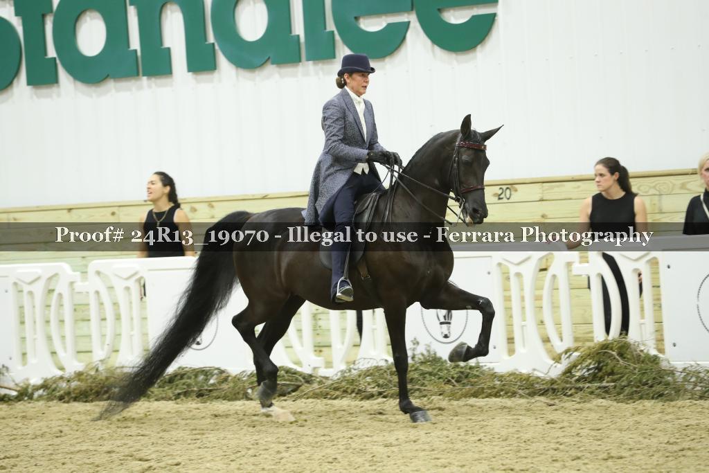 Proof Number 24R13_19070