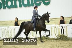 24R13_19070 thumbnail