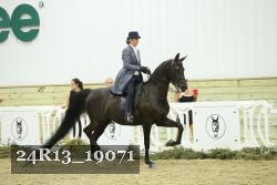 24R13_19071 thumbnail