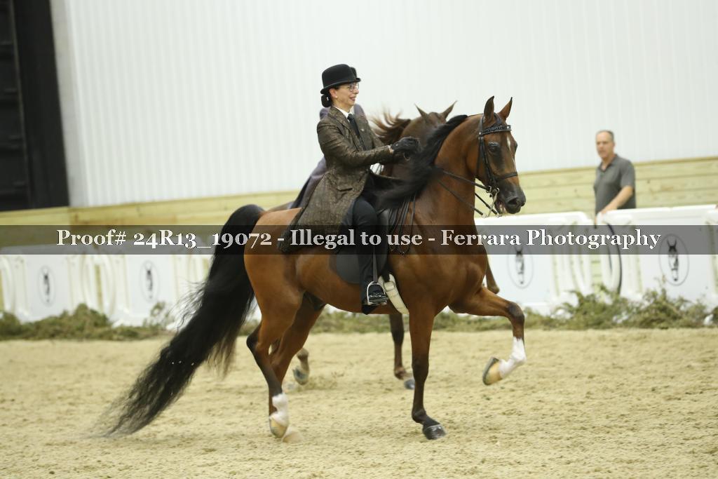 Proof Number 24R13_19072
