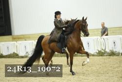 24R13_19072 thumbnail