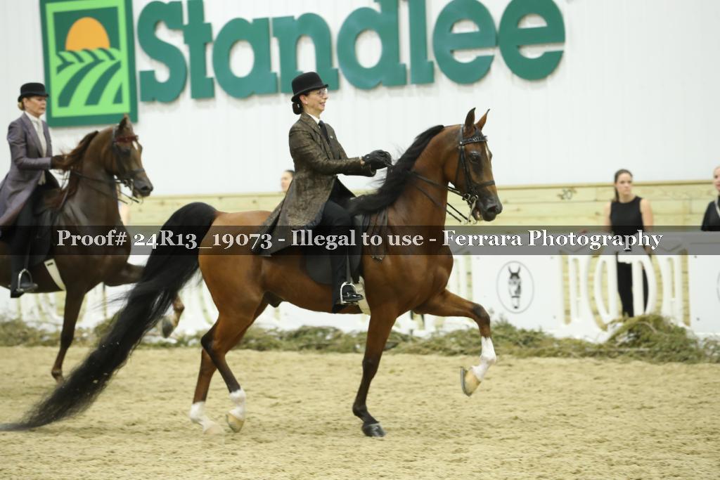 Proof Number 24R13_19073