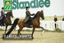 24R13_19073 thumbnail