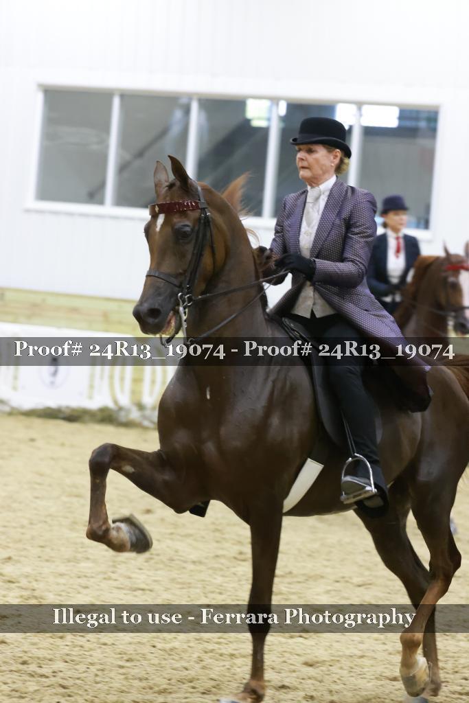 Proof Number 24R13_19074