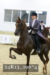 24R13_19074 thumbnail