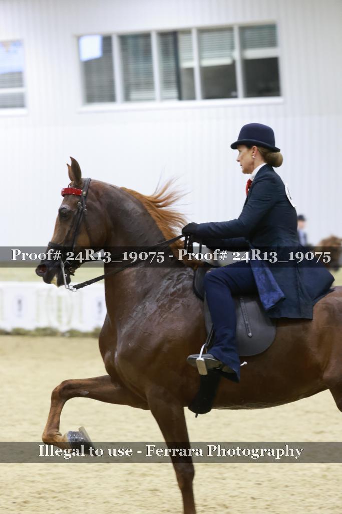 Proof Number 24R13_19075
