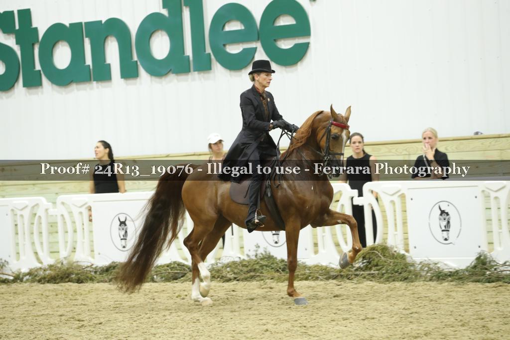 Proof Number 24R13_19076