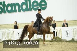 24R13_19076 thumbnail
