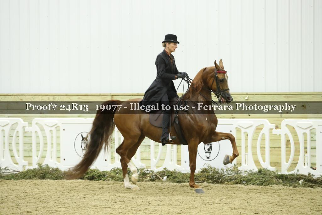 Proof Number 24R13_19077