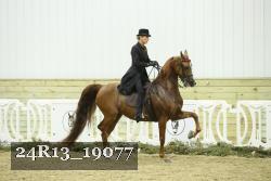 24R13_19077 thumbnail