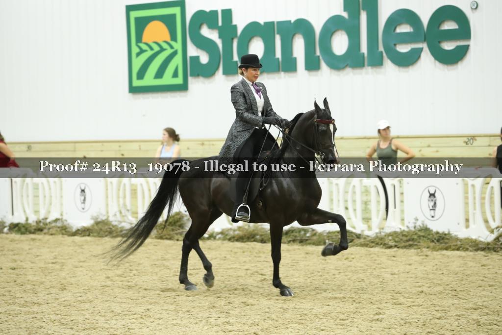 Proof Number 24R13_19078