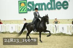 24R13_19078 thumbnail