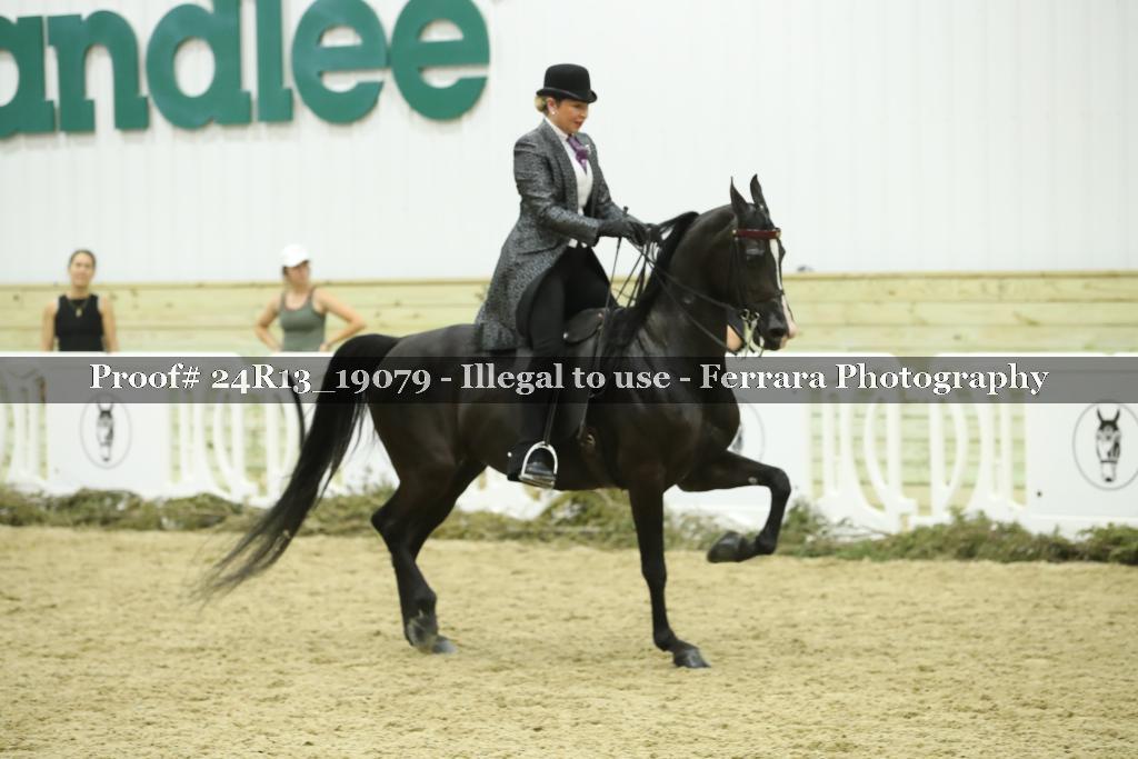 Proof Number 24R13_19079