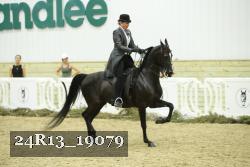 24R13_19079 thumbnail