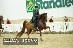 24R13_19080 thumbnail