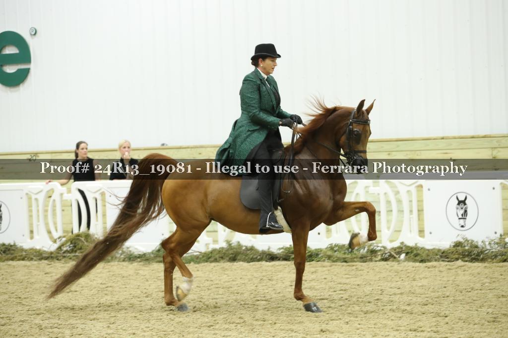 Proof Number 24R13_19081