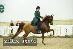 24R13_19081 thumbnail