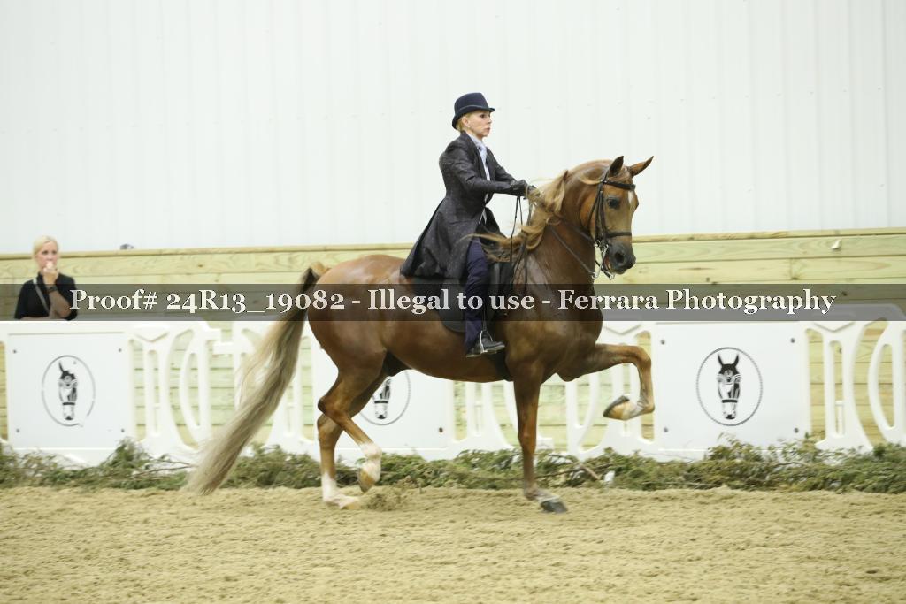 Proof Number 24R13_19082