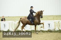 24R13_19082 thumbnail