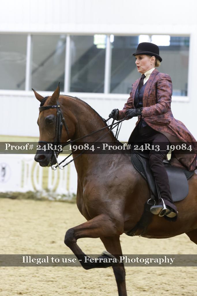 Proof Number 24R13_19084