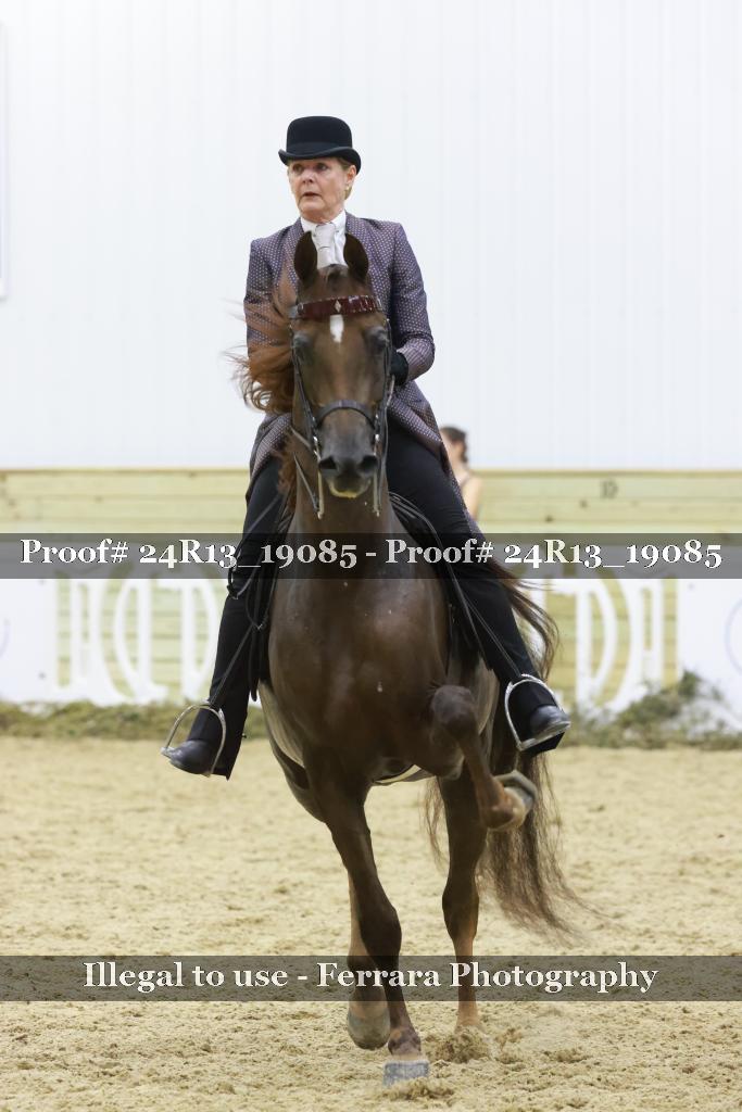 Proof Number 24R13_19085