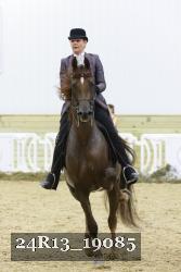 24R13_19085 thumbnail
